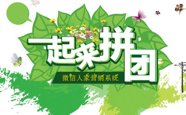 微信拼团系统和软件哪个比较好用