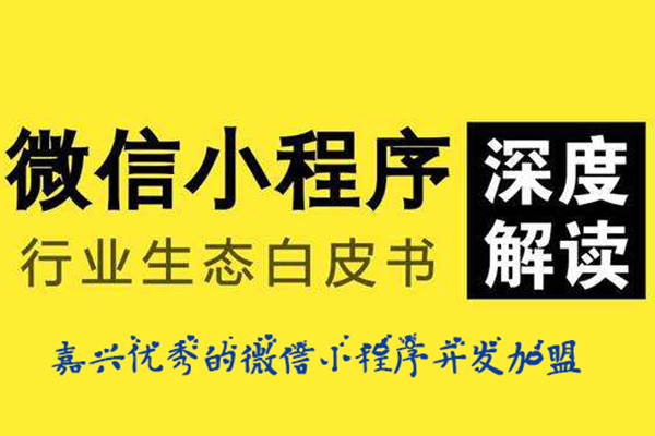 嘉兴优秀的微信小程序开发加盟，嘉兴小程序开发