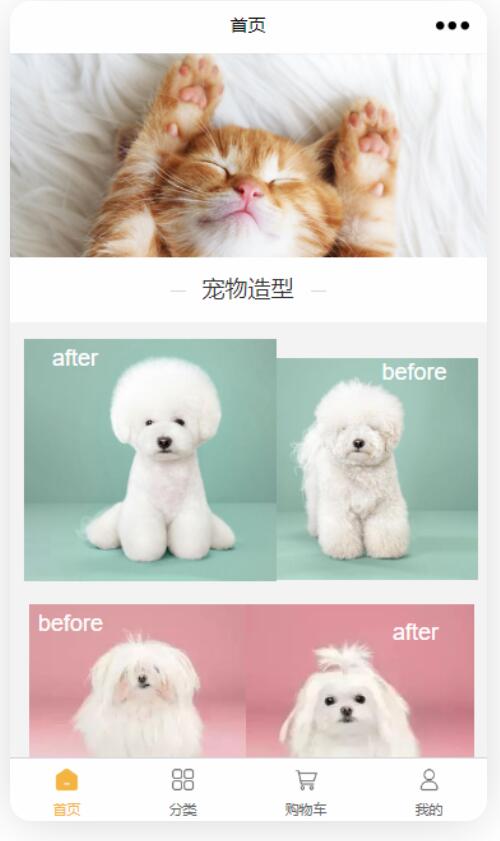 宠物店小程序怎么做_微信小程序为宠物店提供全面服务(图3)